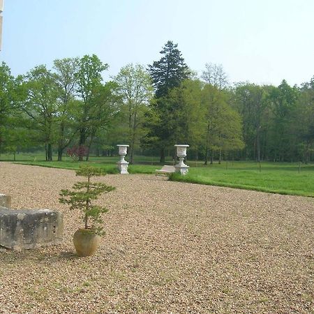 Chateau De Bois Renard Bed and Breakfast Saint-Laurent-Nouan Zewnętrze zdjęcie